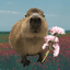capybara-4