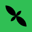 mint-blockchain
