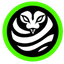 vyper