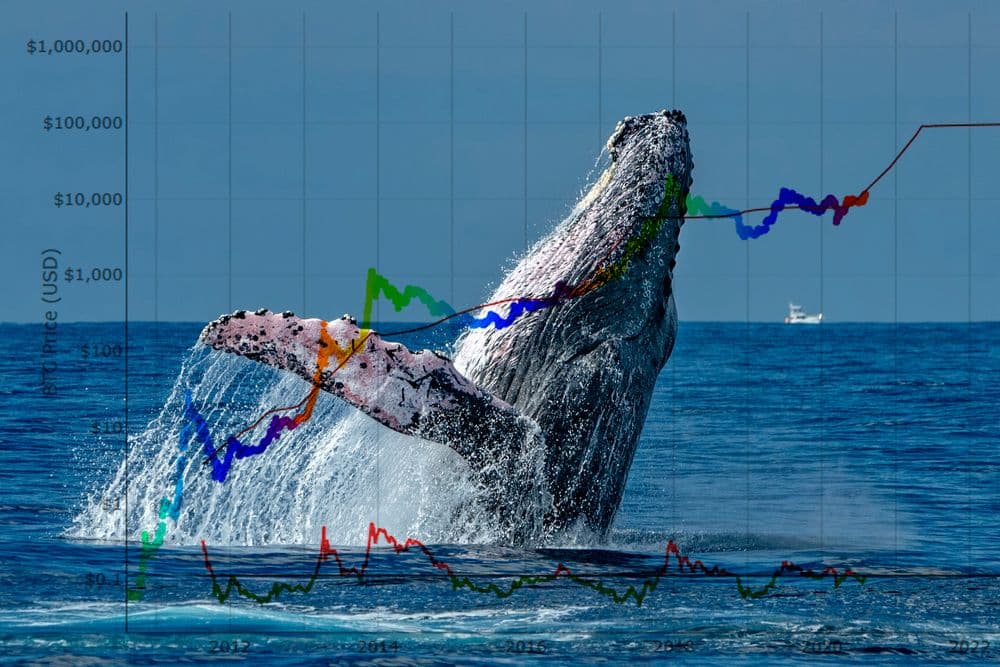 Understanding Bitcoin Whale Activity: What Dormant Wallet Reactivations Mean